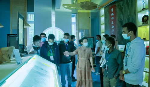 中外青年南充共賞非遺文化 中秋佳節(jié)品味巴蜀魅力